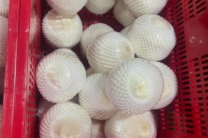 Nơi Cung Cấp Màng Bọc Trái Cây Nông Sản Xuất Khẩu Uy Tín